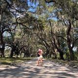 Wormsloe State Historic Site