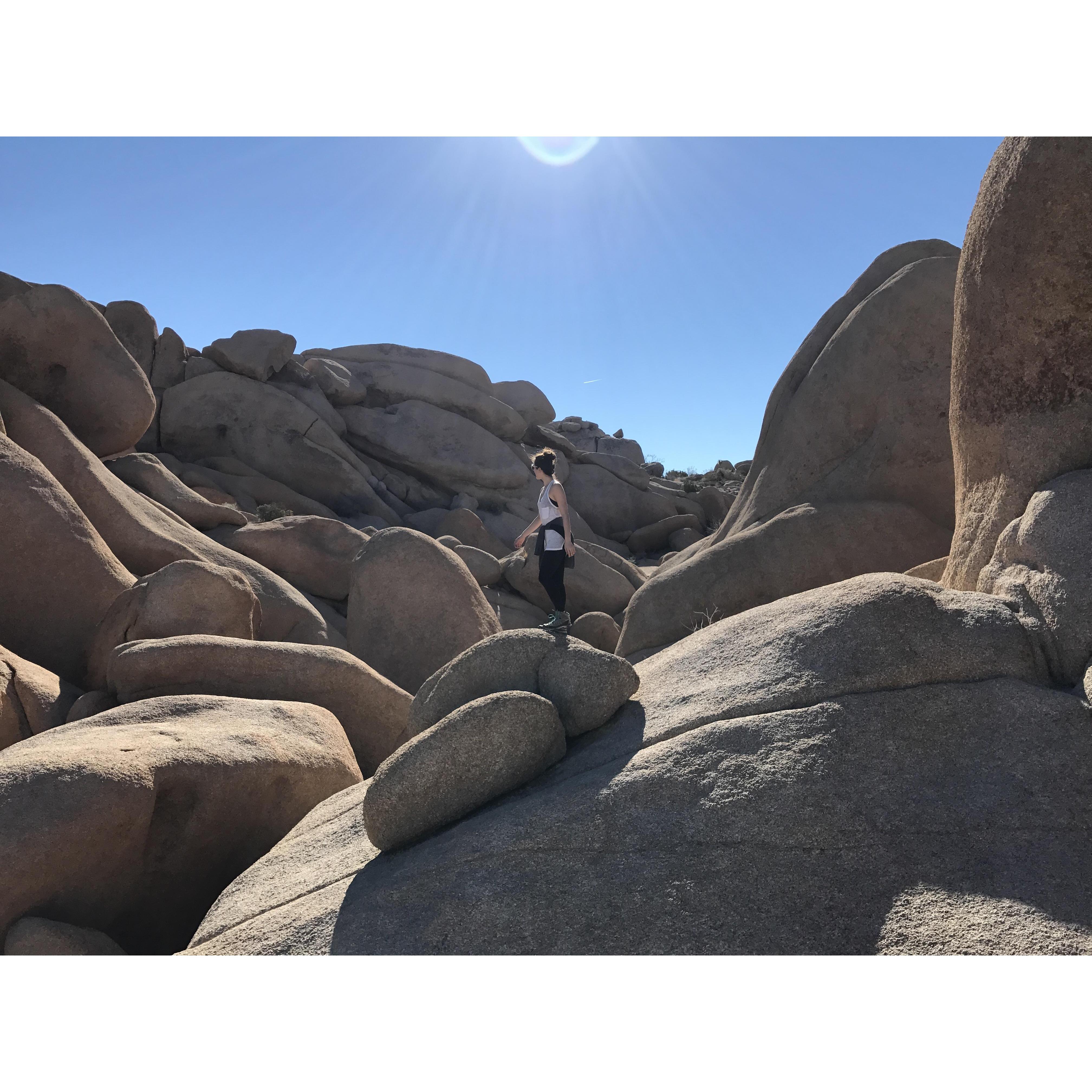Jumbo Rocks, Joshua Tree