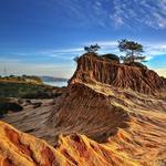 Torrey Pines State Reserve