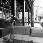 Nightlife - Republic Garden & Lounge