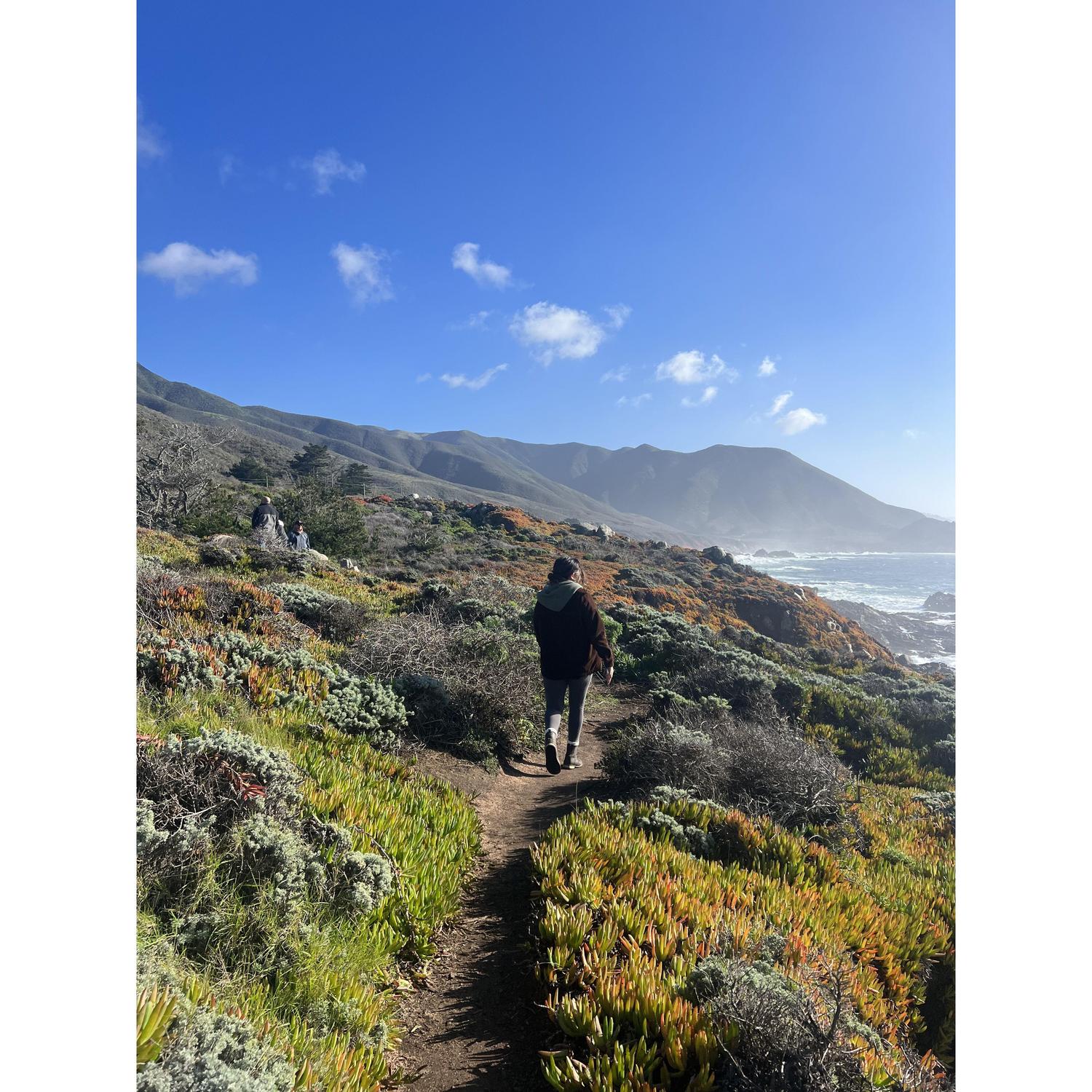 Big Sur