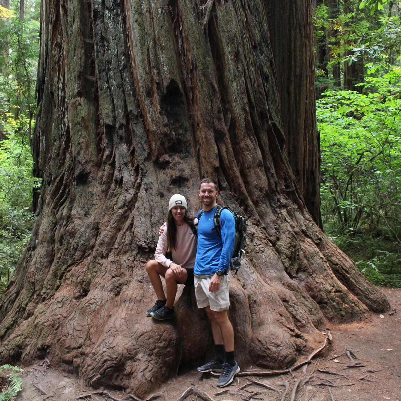 Redwoods National Park!