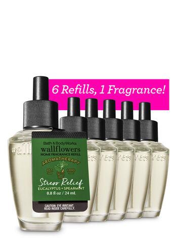 Aromatherapy Eucalyptus Spearmint Wallflowers Refills, 6-Pack