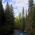 Winner Creek Trail Alyeska Trailhead