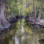 Cibolo Nature Center