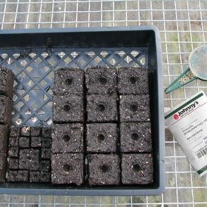 Soil Block Propagation Trays