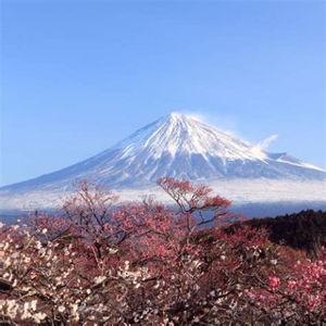 Climbing Mt. Fuji