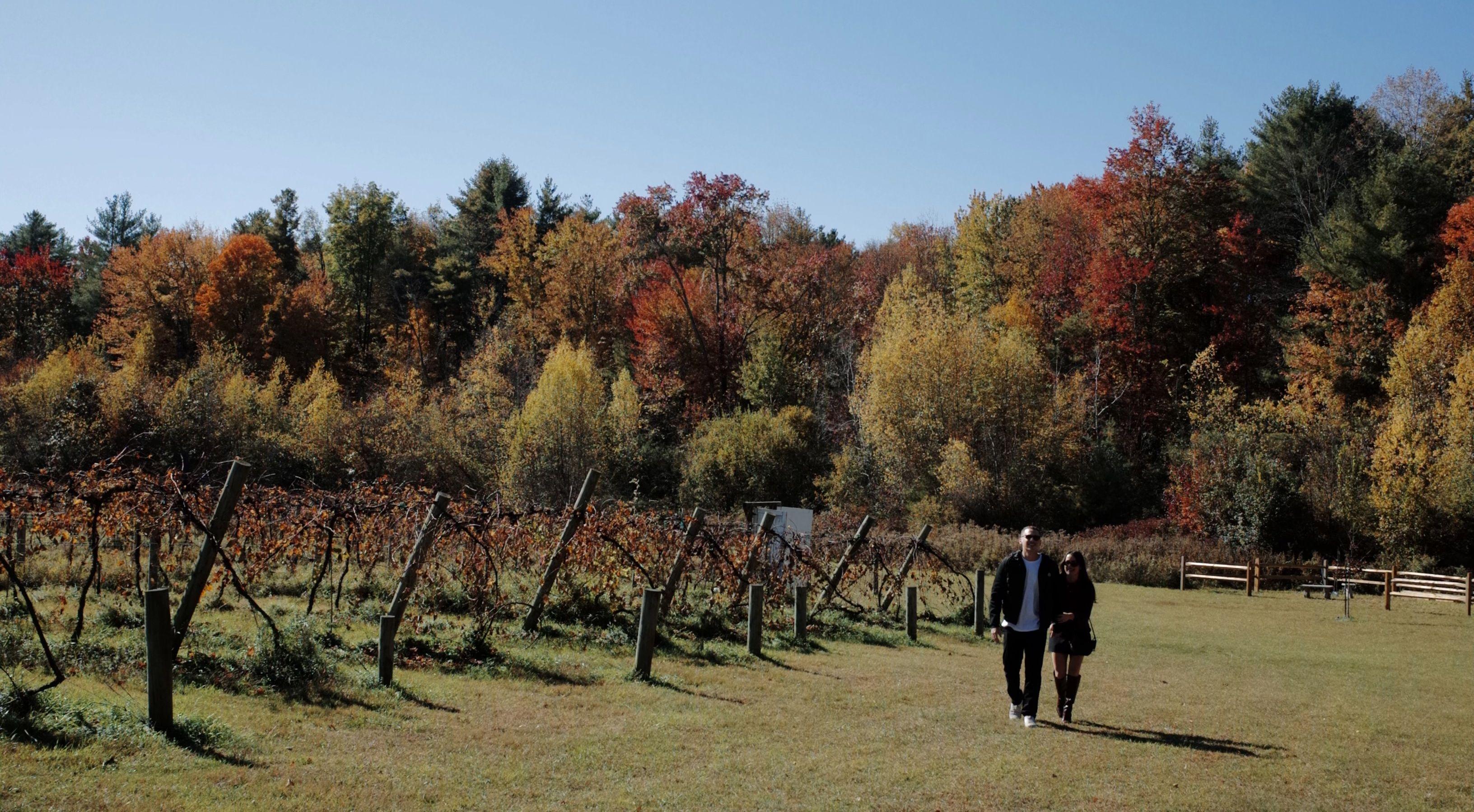 The Wedding Website of Brianna Margulis and Ian Edelman
