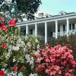 Pebble Hill Plantation
