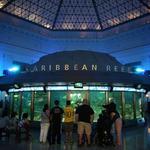 Shedd Aquarium