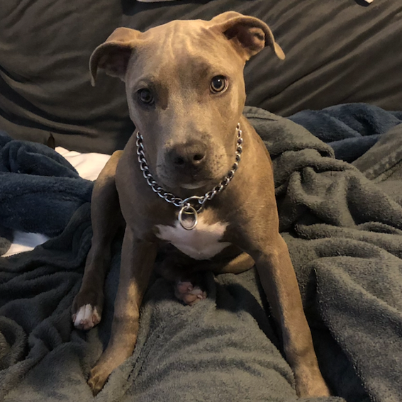 Zoey again - Nov. 2019