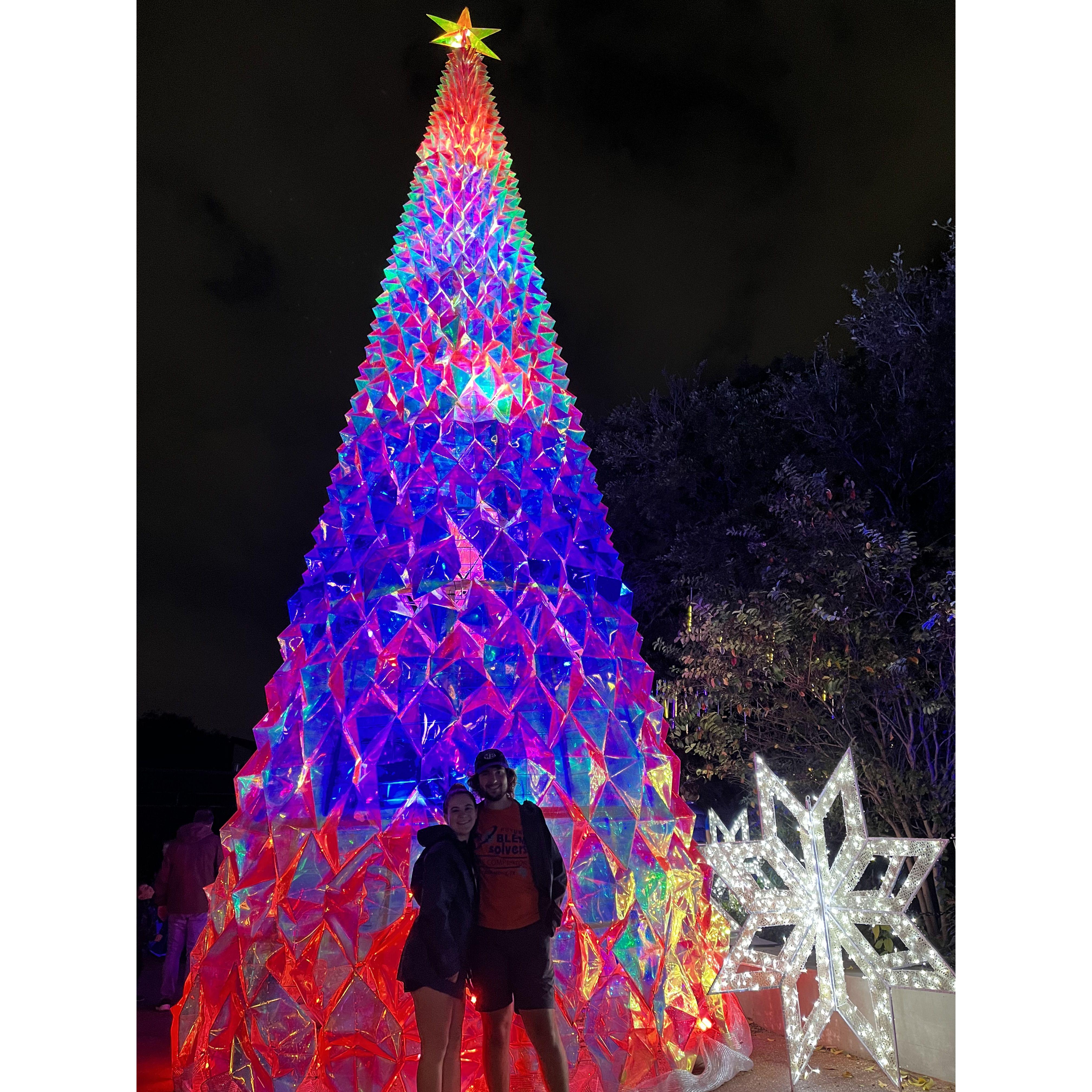 Seeing the Houston Zoo Lights for Christmas 2023!