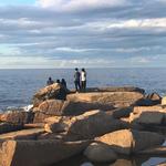 Halibut Point State Park