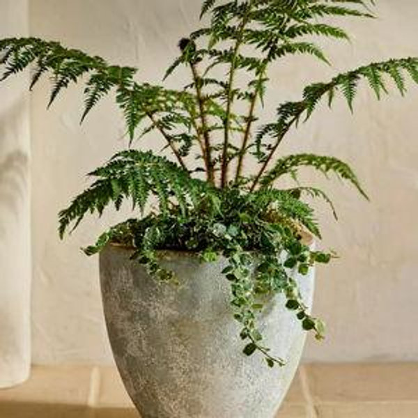 Canyon Blue Ceramic Egg Planter