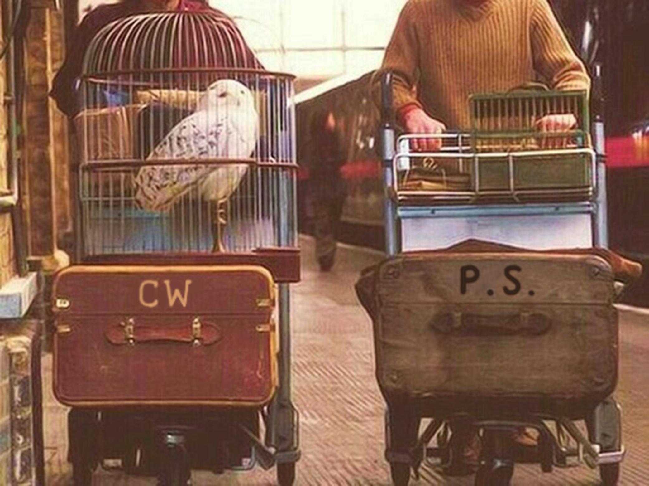 The Wedding Website of Cara Weiss and Peter Soderberg