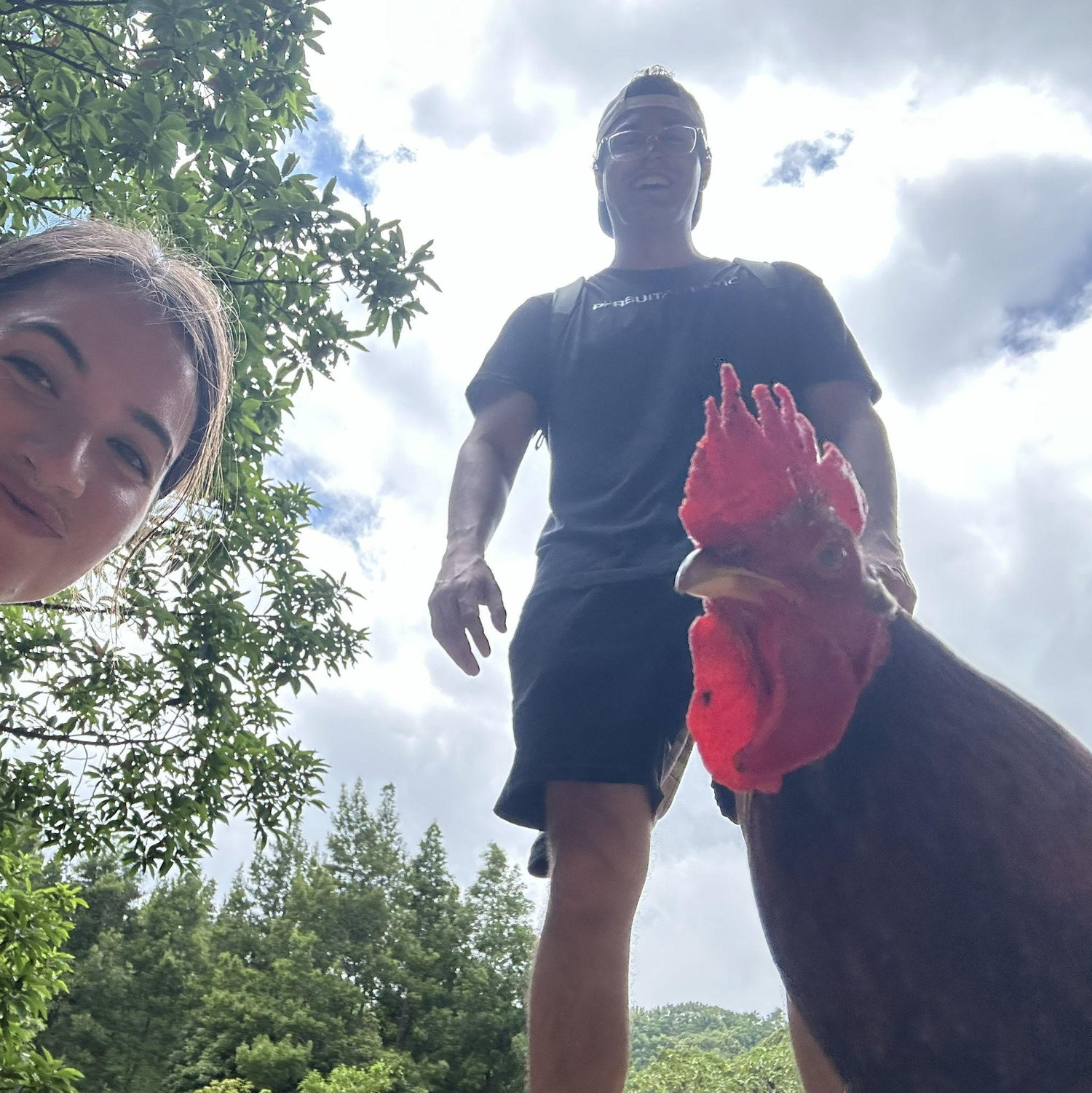 Waterfall hike with chickens
