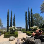 Temecula Wine Country