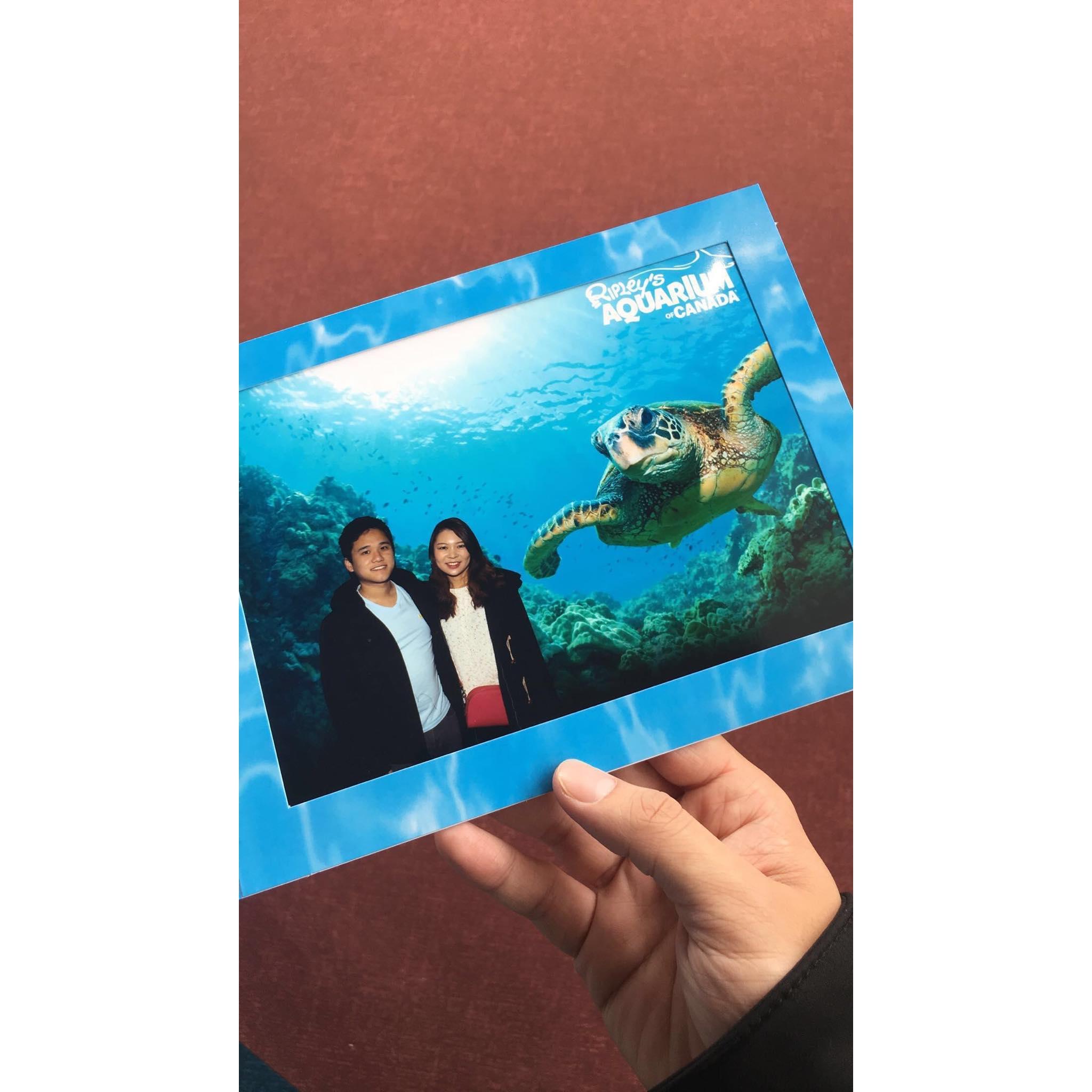 Ripley's Aquarium, Toronto 2018