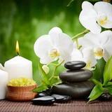 Nuad Thai Therapy