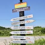 Beamsville Bench Vineyard Trail