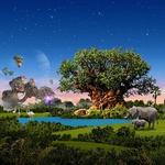 Disney's Animal Kingdom Theme Park