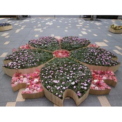 in Tokyo