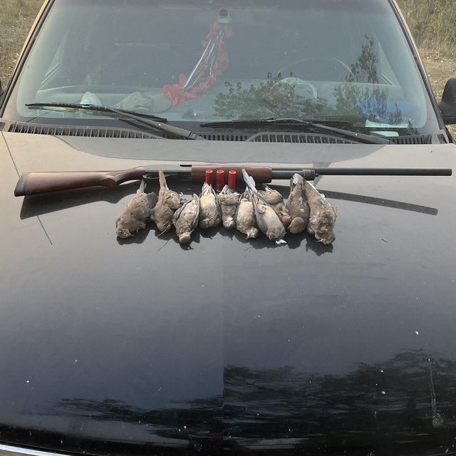 Hunting Gear