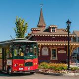 Our Favorite Activities in Wolfeboro