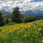 Boreas Pass