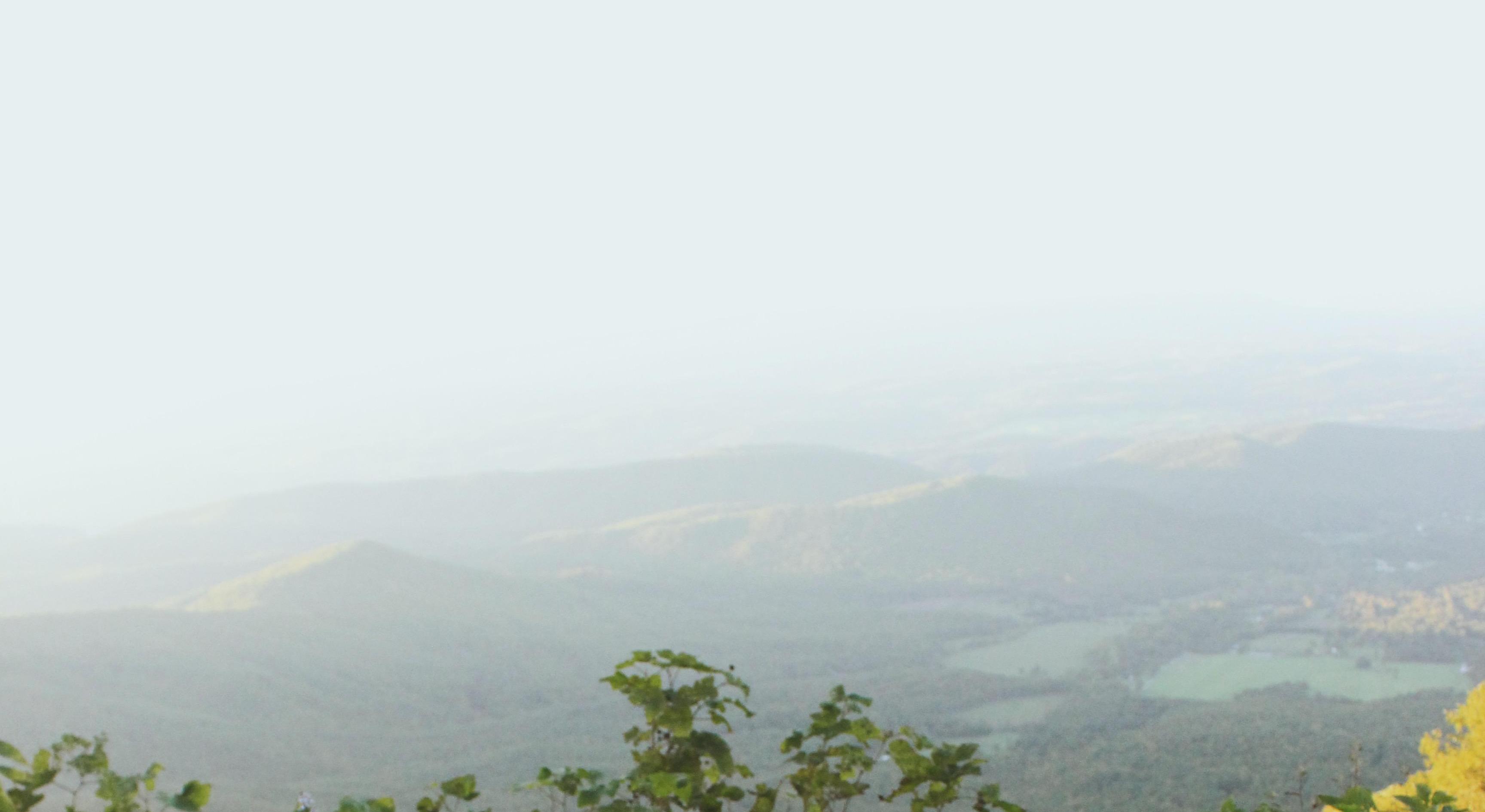 Footer image