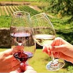 South Africa Wine Tasting