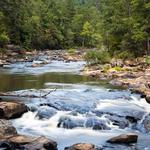 Sweetwater Creek State Park