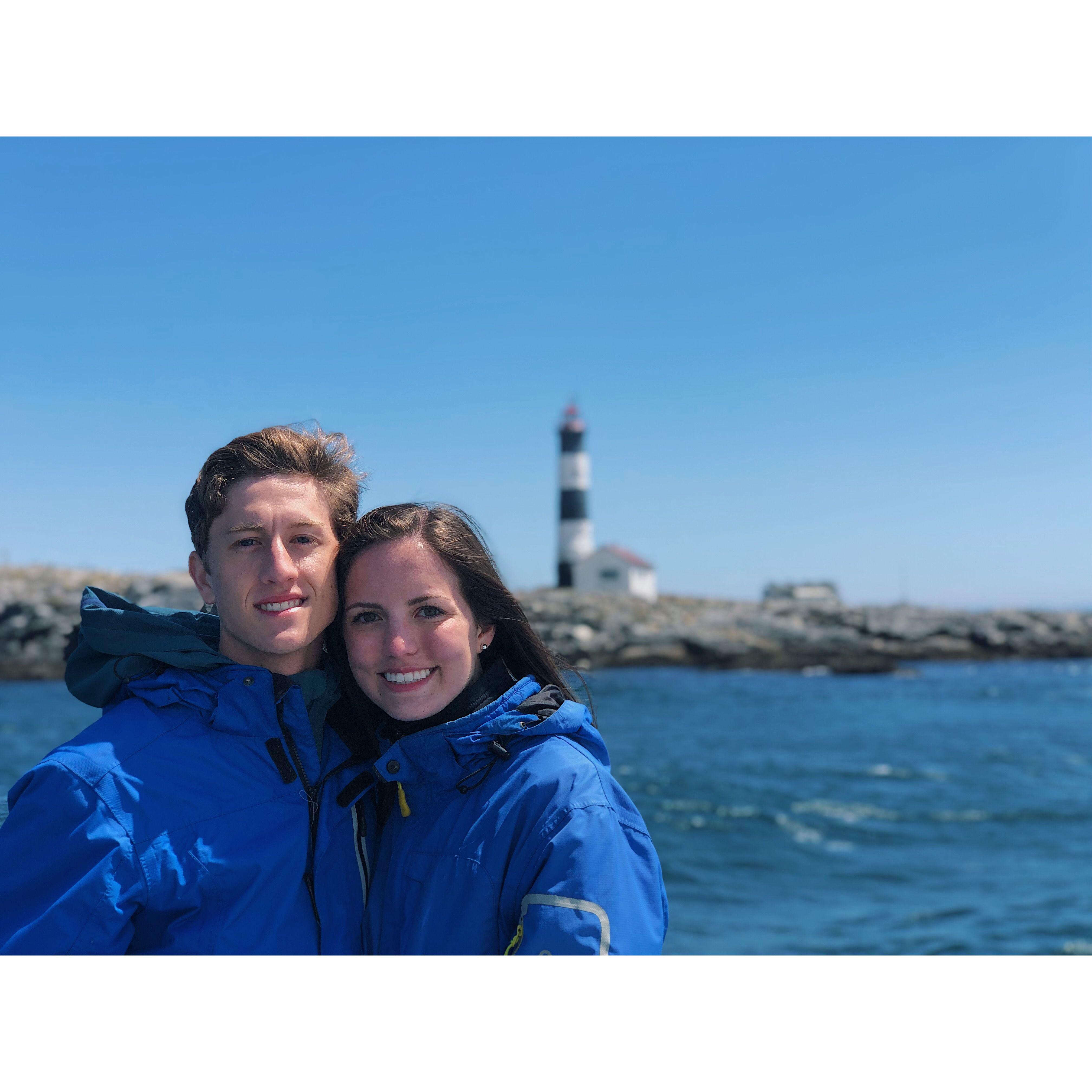 Whale watching in Victoria - 2019