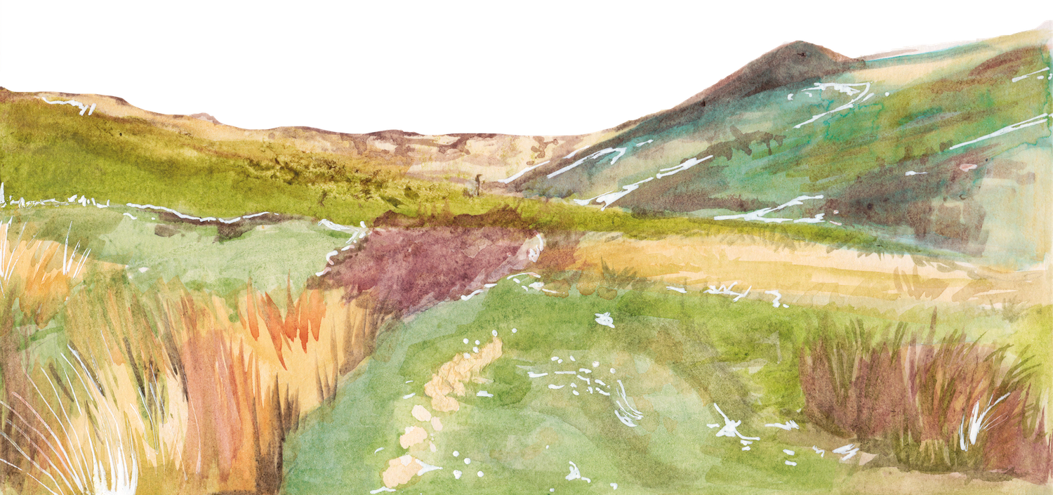 c2c595bc-1869-41ee-86cc-9db40e872a17