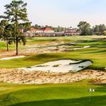 Play a round of golf