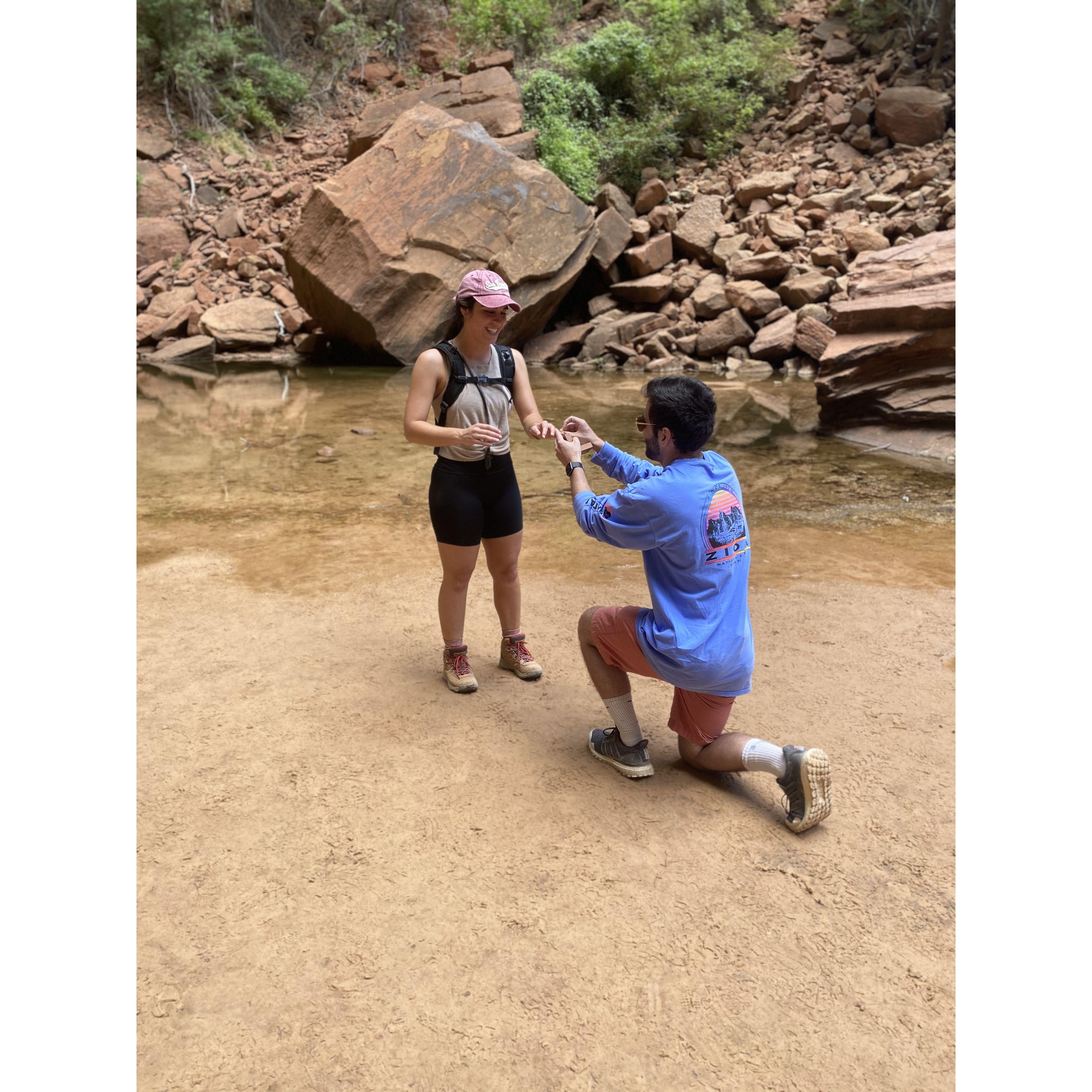 Zion National Park May 2021