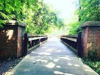 Anchorage 2 mile park and walking trail