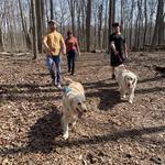 Glen Helen Nature Preserve