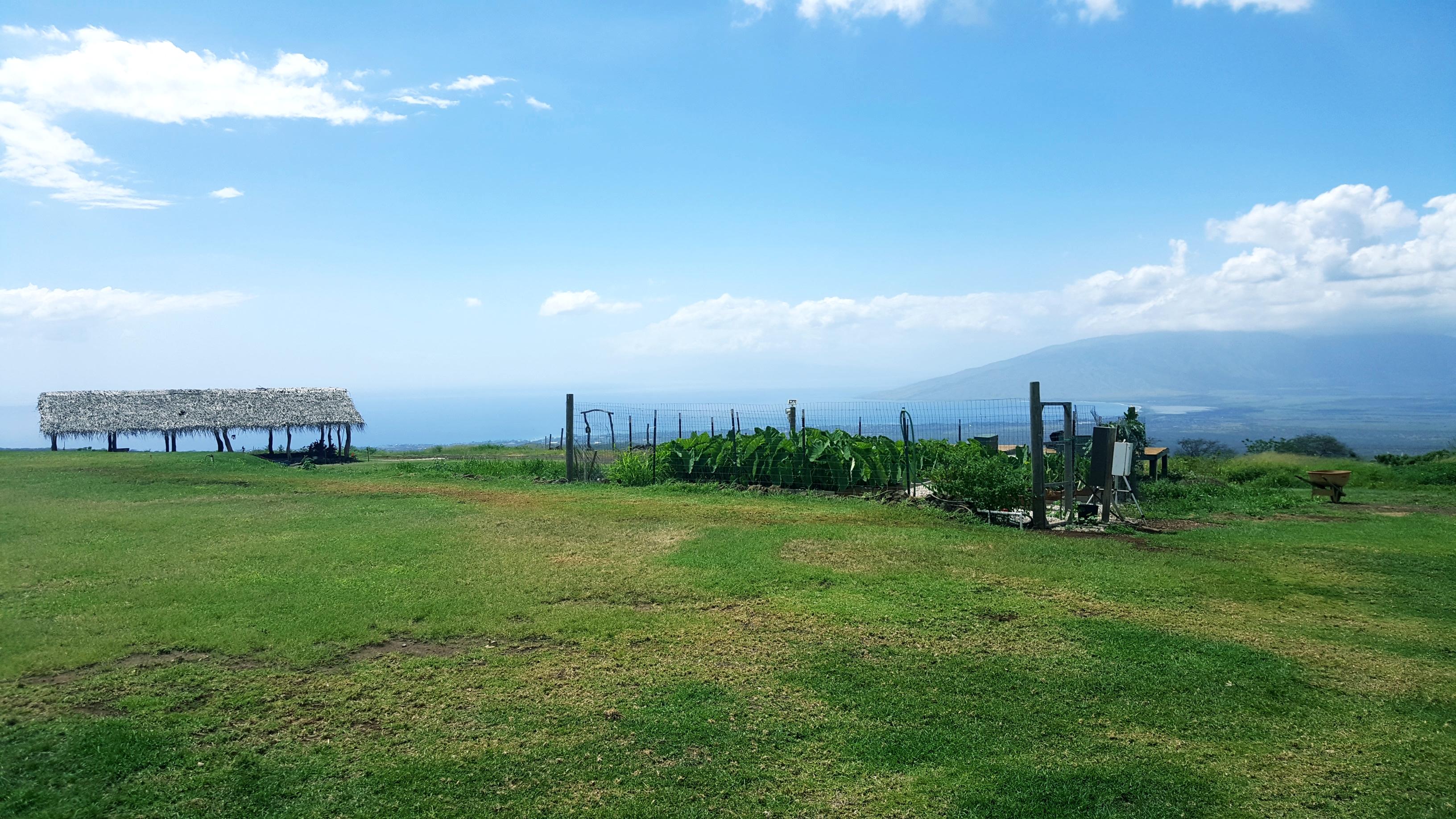 The Wedding Website of Ikaika Texeira and Britney Alejo-Fishell
