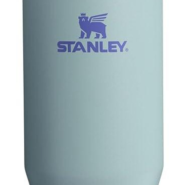 Stanley IceFlow 2.0 Flip Straw Tumbler with Handle 30 oz | Twist On Lid and Flip Up Straw | Leak Resistant Water Bottle | Insulated Stainless Steel | BPA-Free | Exclusive Blue Cactus