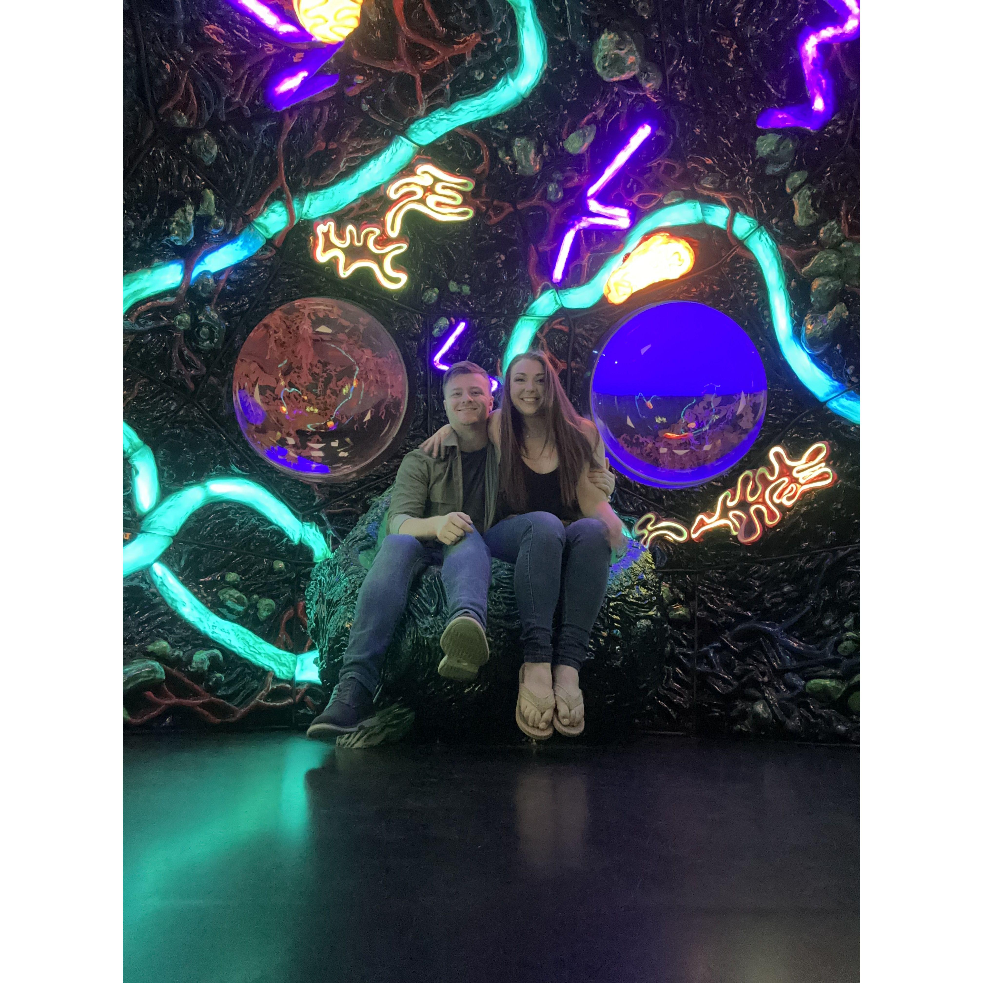 We went to Meow Wolf together, and we want to go back!