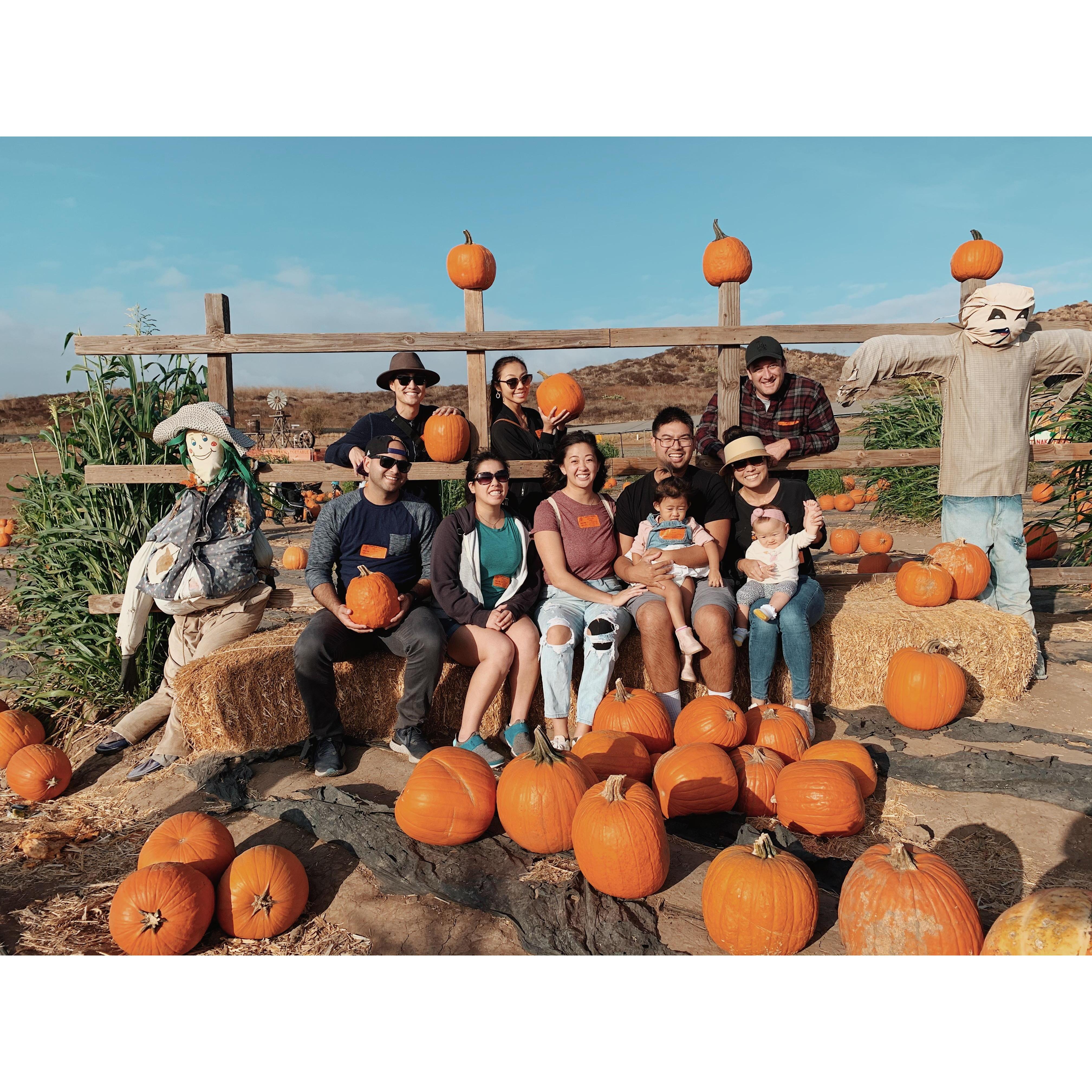 Annual Pumpkin Patch tradition at Tanaka Farms