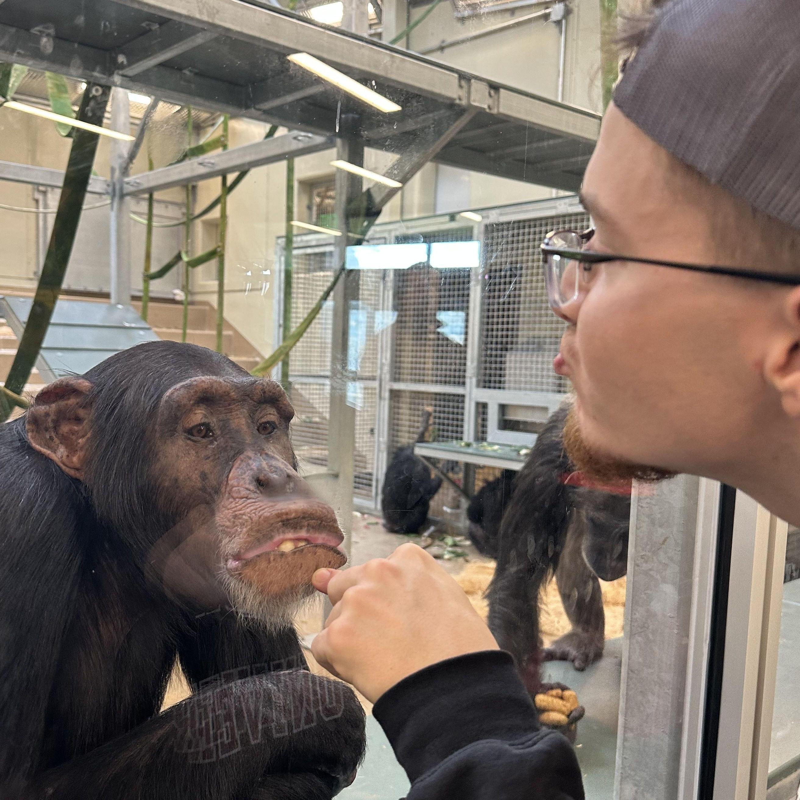 Aj and his twin