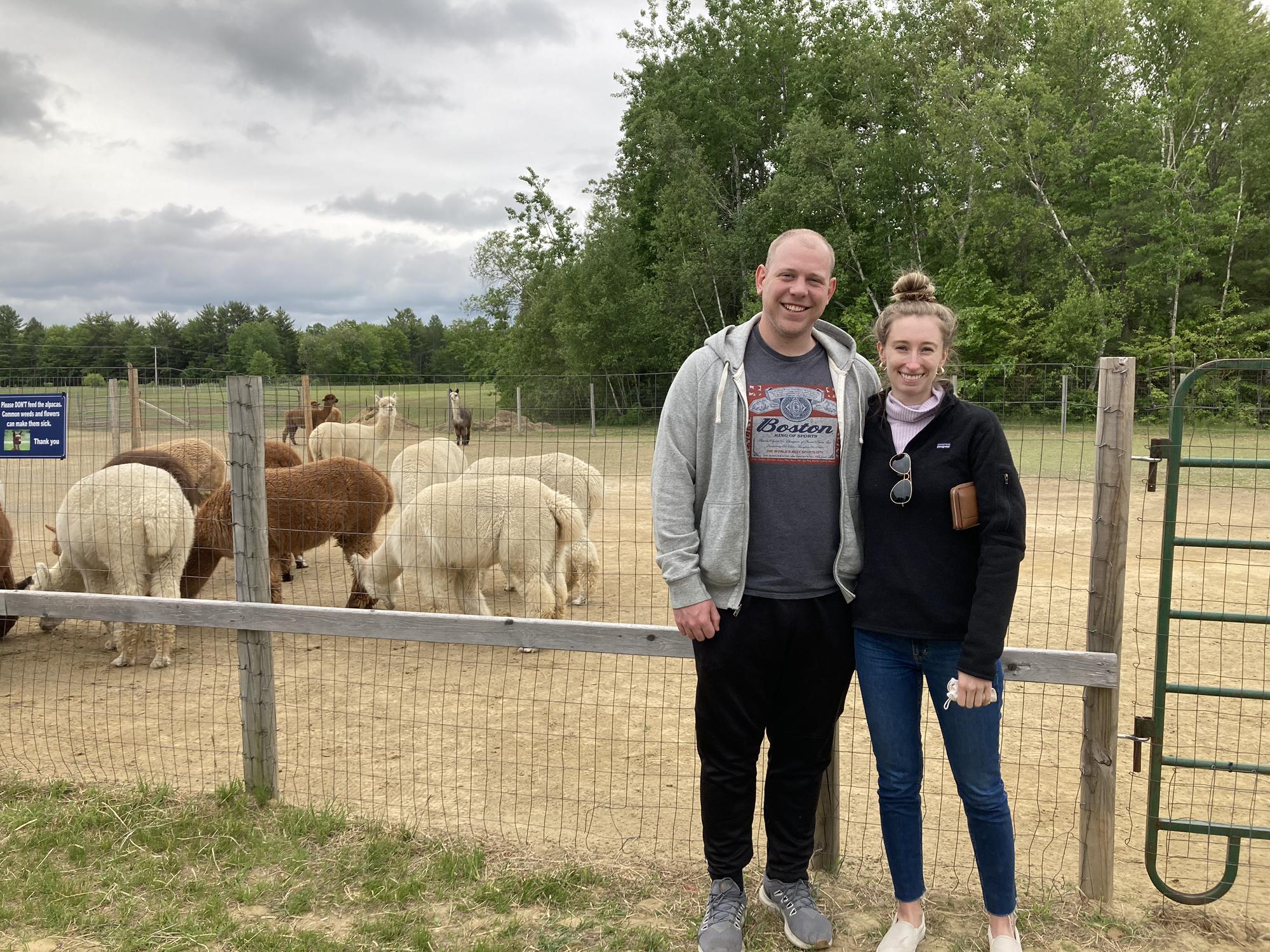 Hanging with our alpaca friends