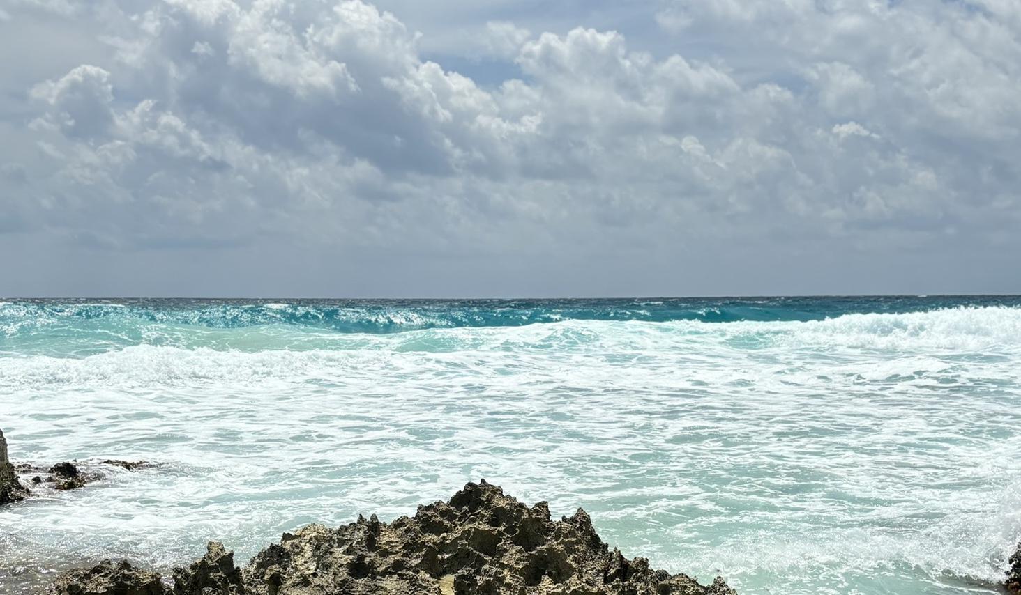 The Wedding Website of Martha Macias and Ramiro Macias