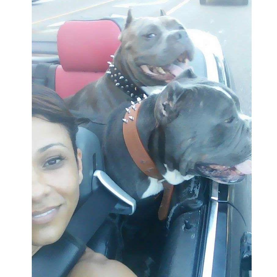 Top down with the boys