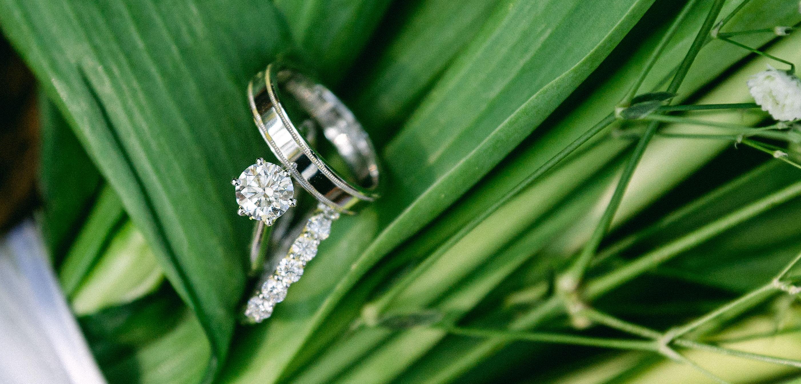 The Wedding Website of Jeffrey Feng and Yayi Deng