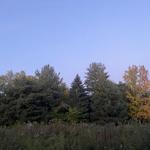 Kathryn Albertson Park