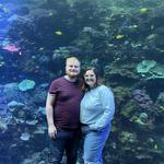 Georgia Aquarium