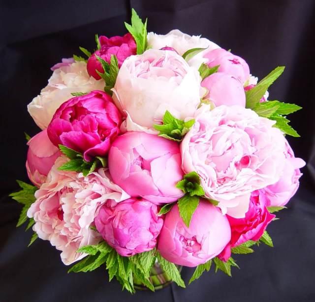The Wedding Website of Jennifer Germain and Anthony Costantino